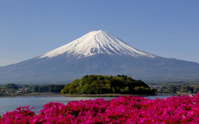 Mount Fuji with Flowers — Pink, Serene