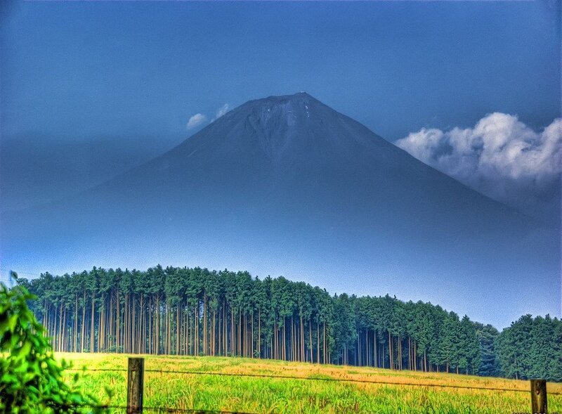 Mount Fuji with forest and field