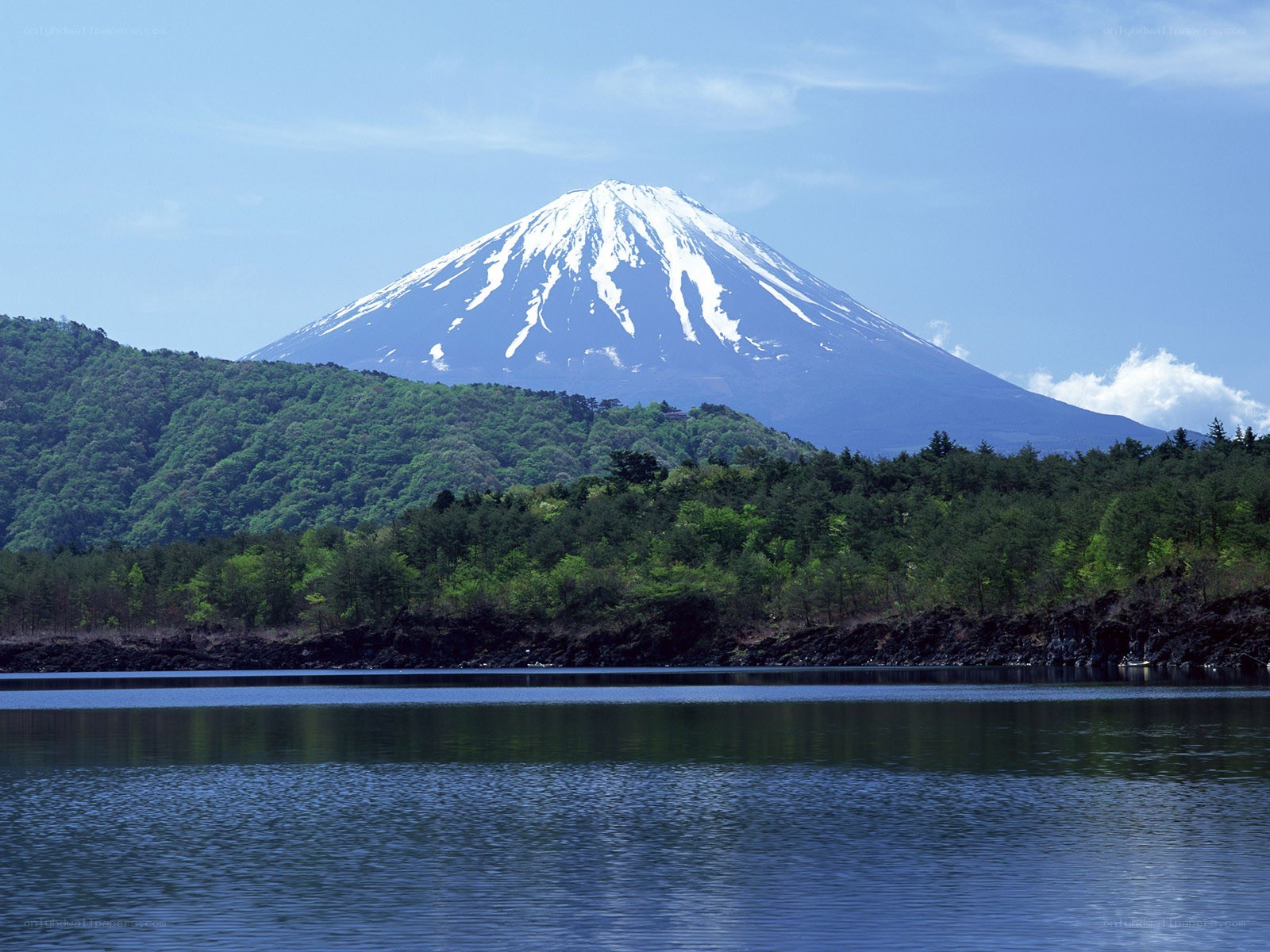 Mount Fuji with lake view