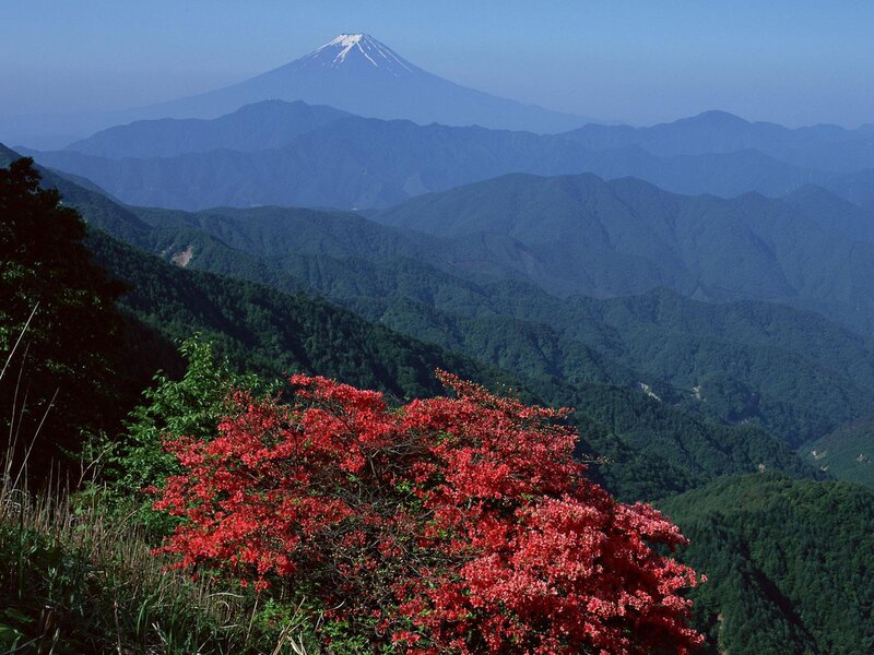 Mount Fuji with red azaleas