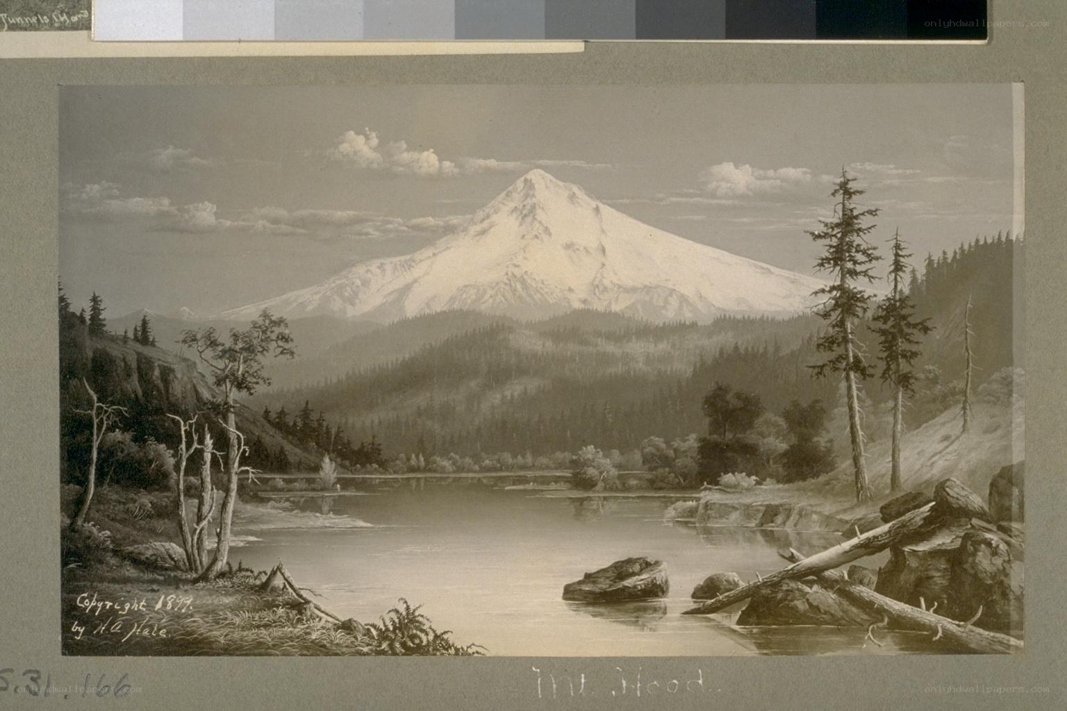Mount Hood landscape