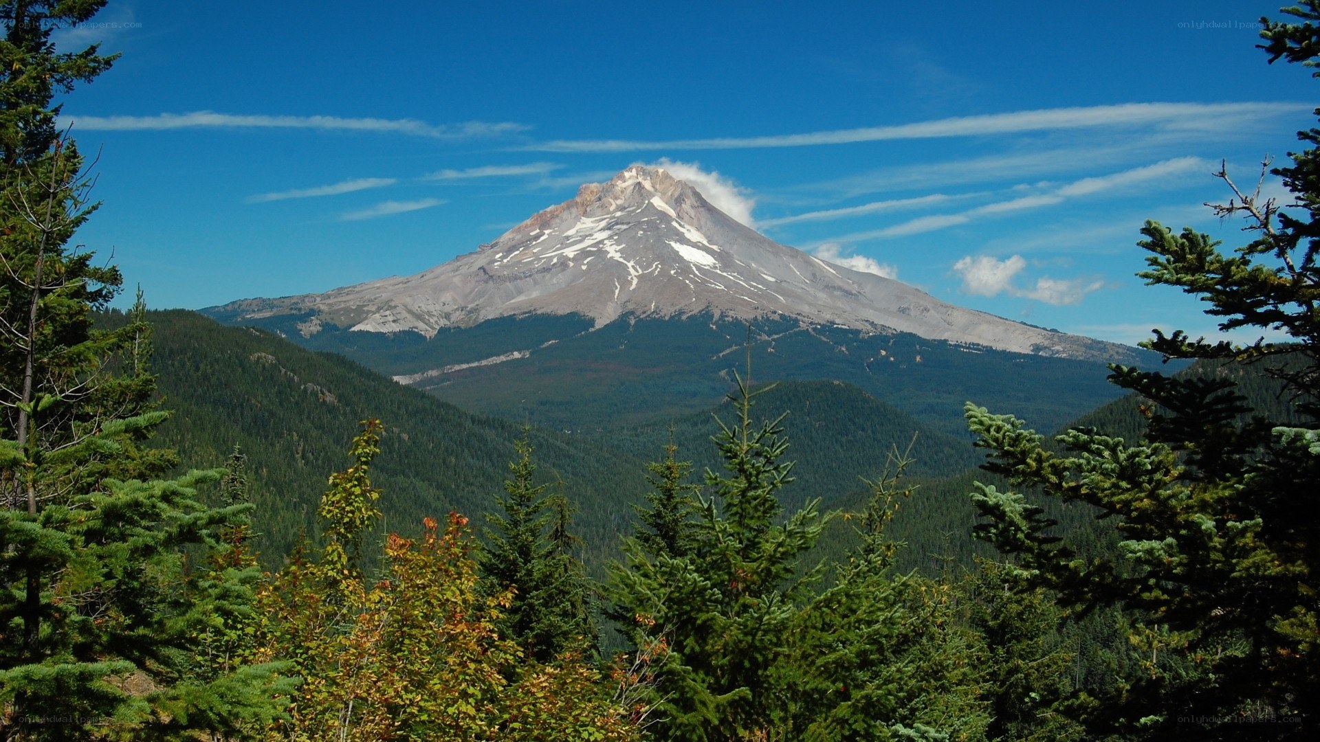 Mount Hood on a clear day