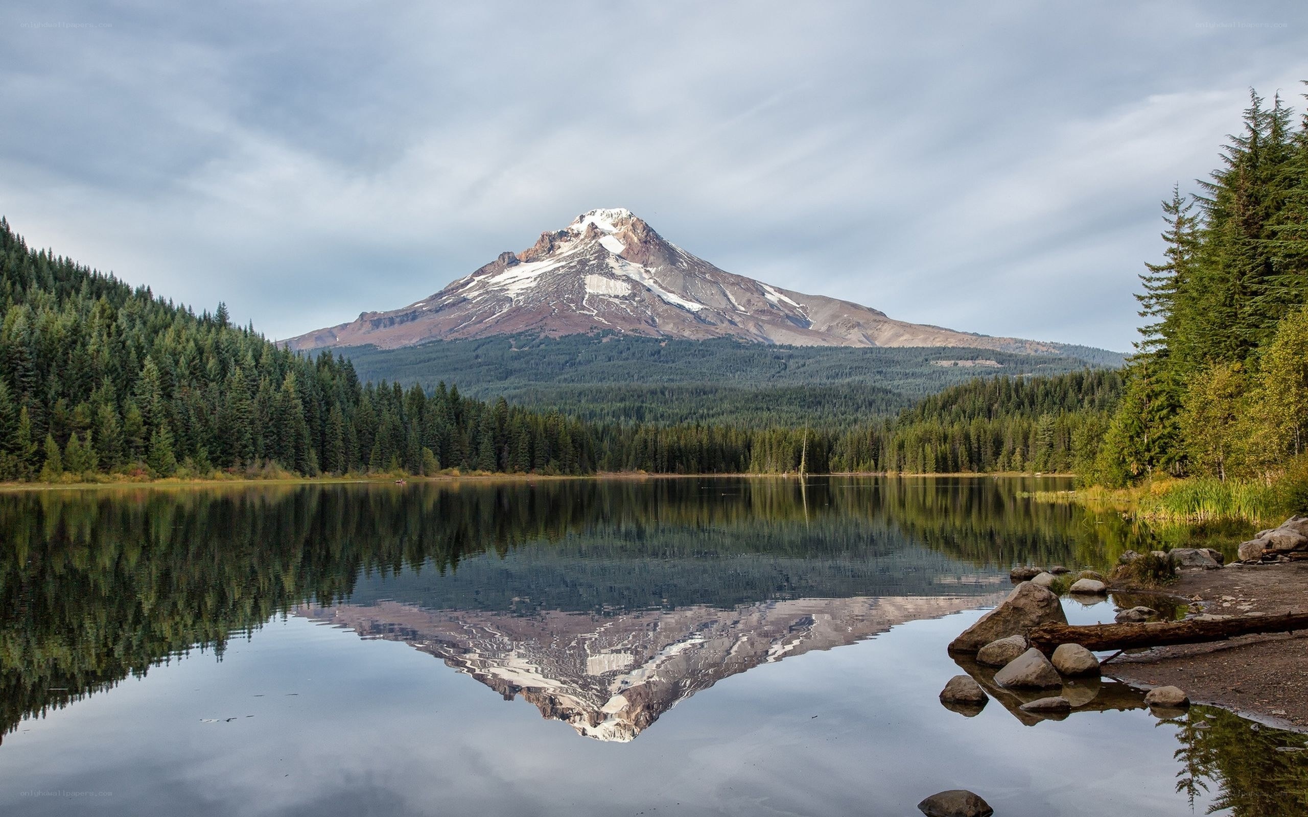 Mount Hood reflected in a calm lake