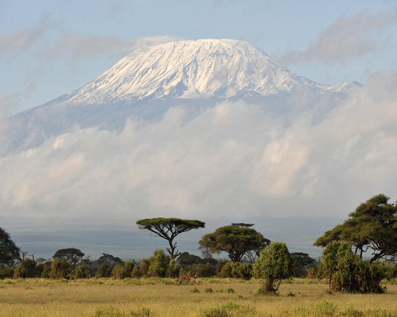 Mount Kilimanjaro with savanna