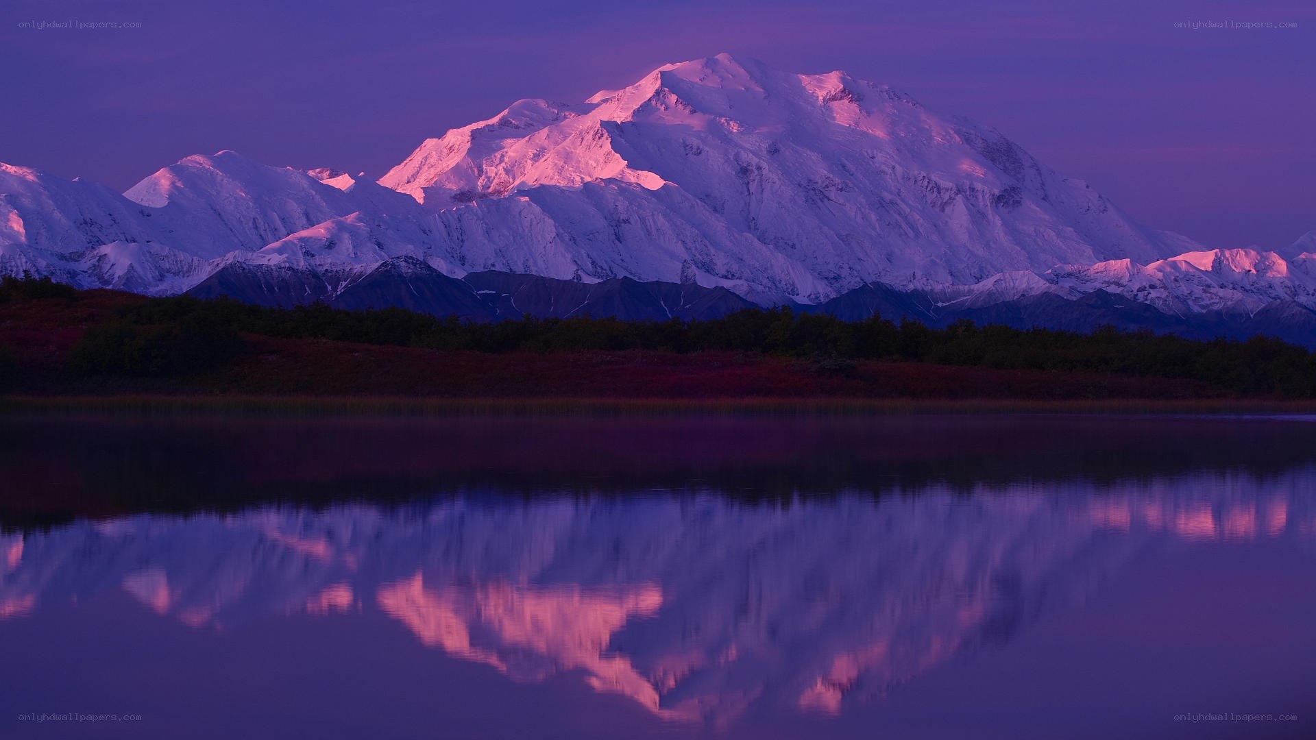 Mount McKinley at dawn
