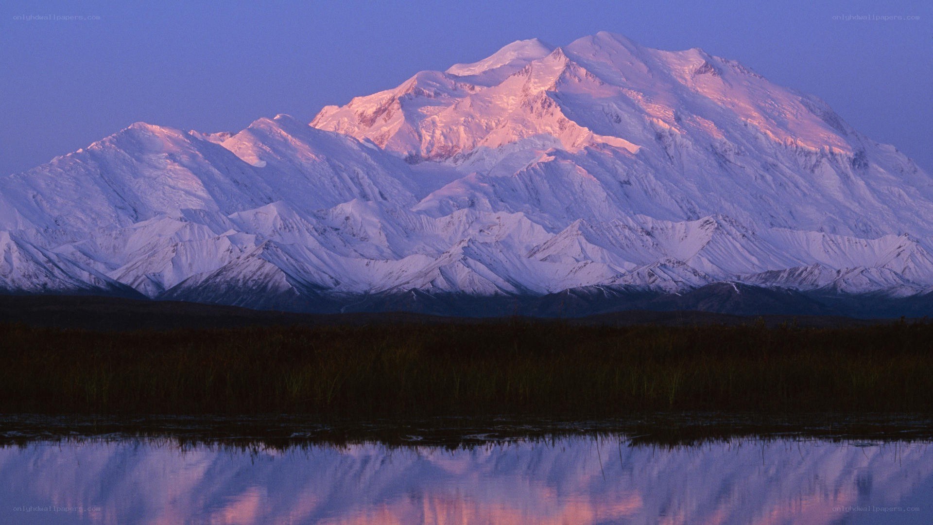 Mount McKinley at dawn