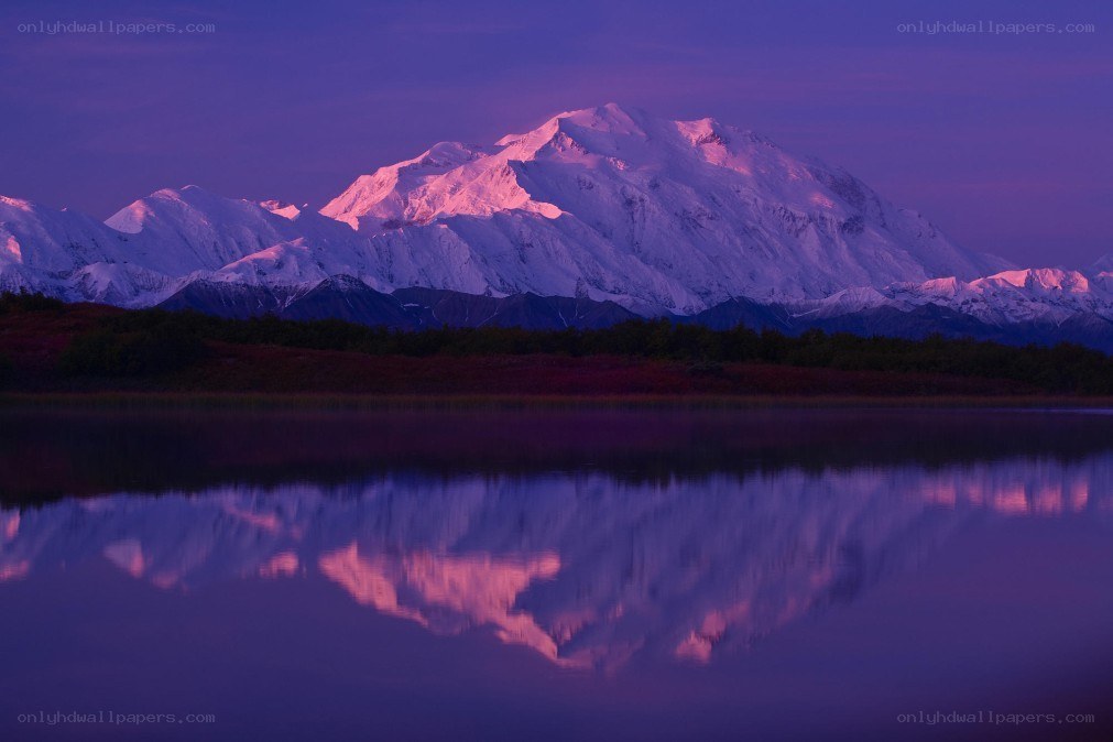 Mount McKinley at dawn