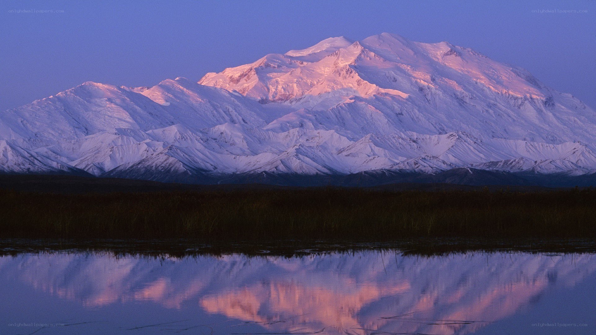 Mount McKinley at dawn