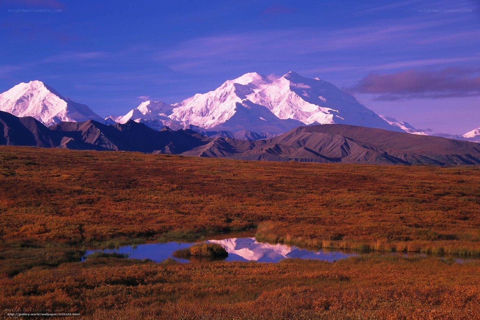 Mount McKinley in autumn