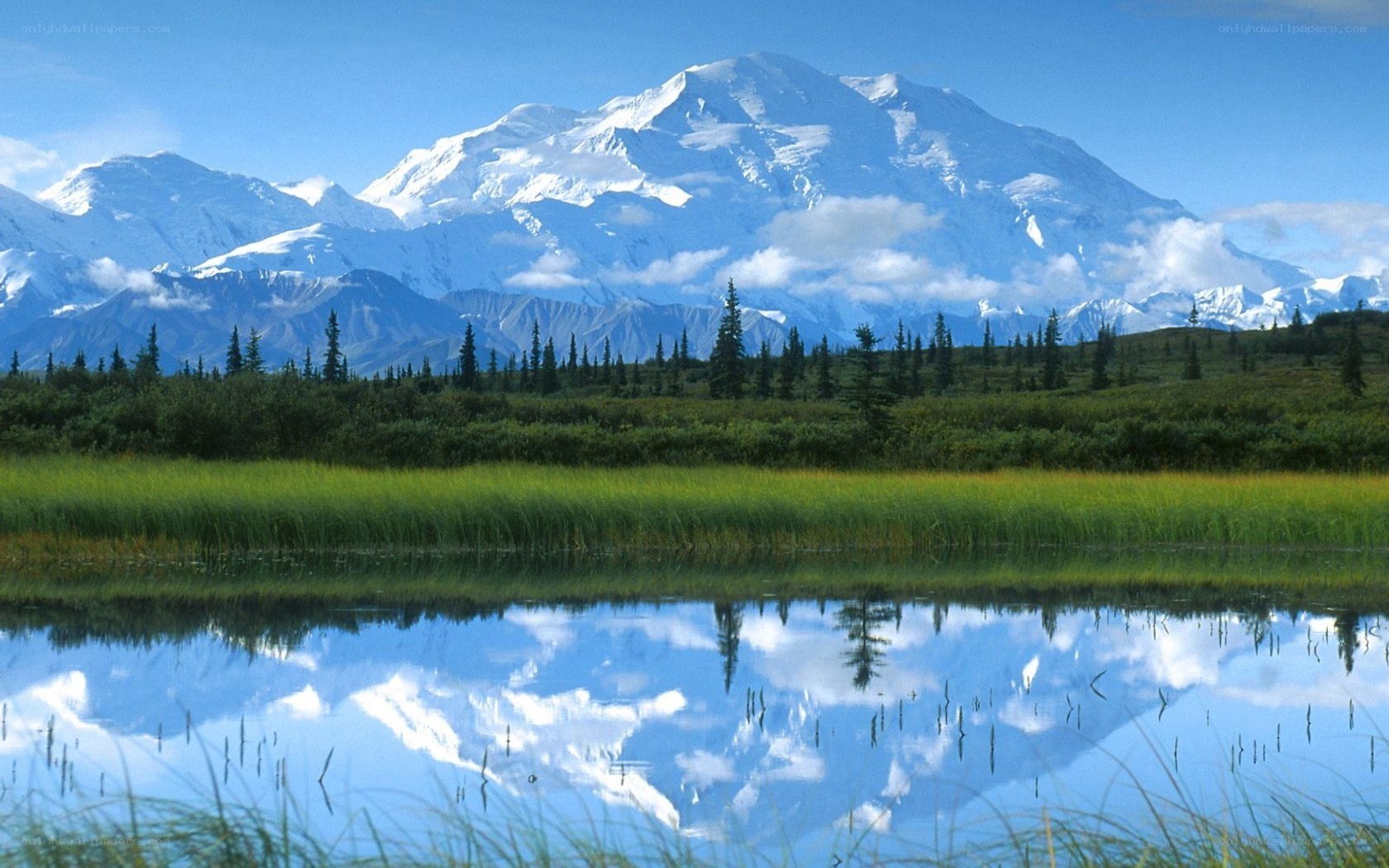 Mount McKinley reflected in a lake