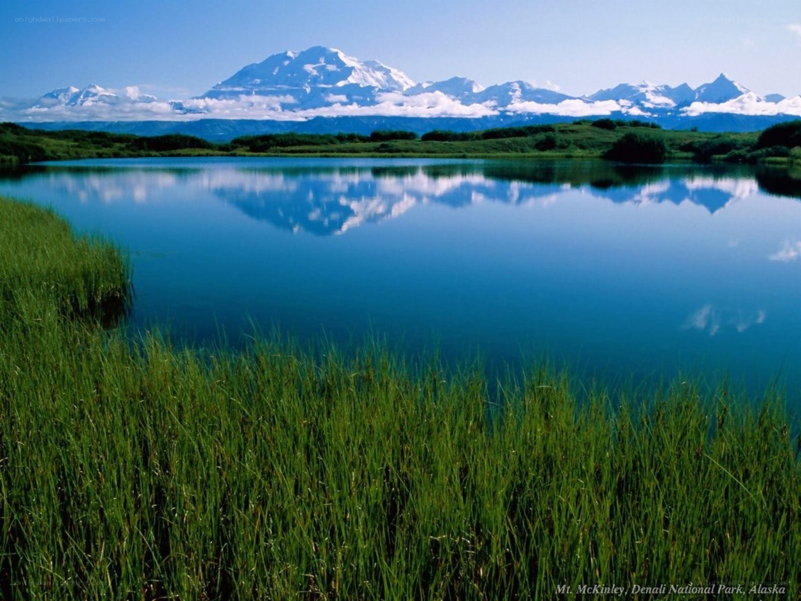 Mount McKinley reflection in lake
