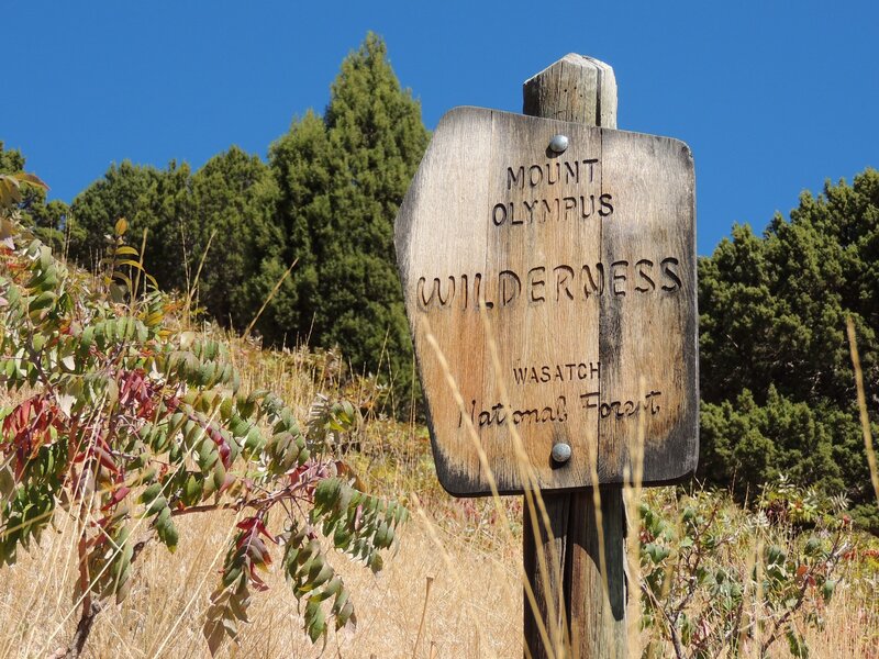 Mount Olympus Wilderness sign