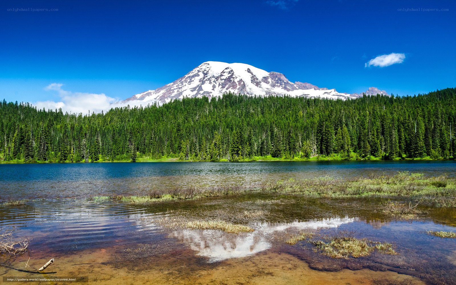 Mount Rainier and a serene lake