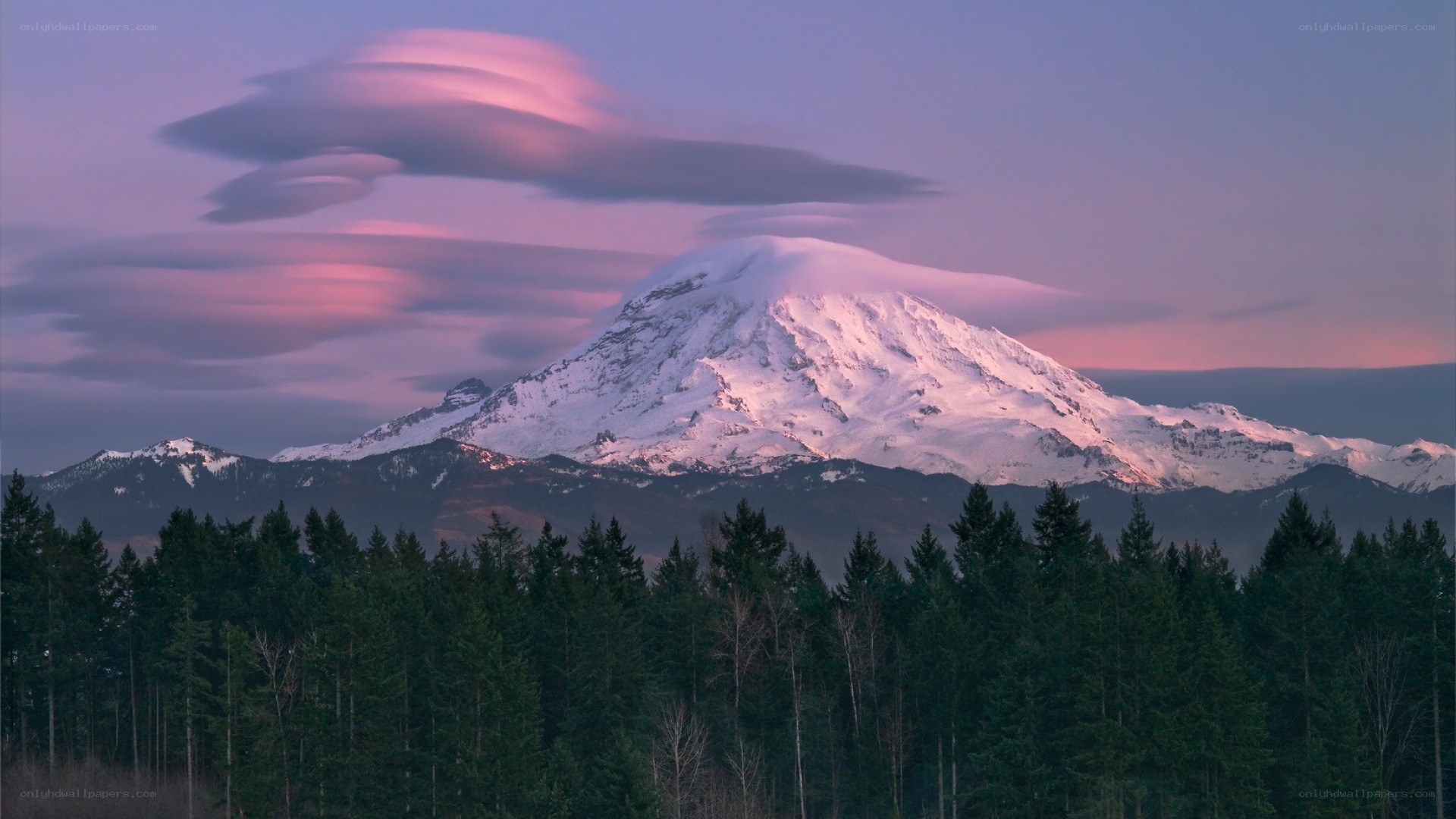 Mount Rainier at dawn with lenticular clouds