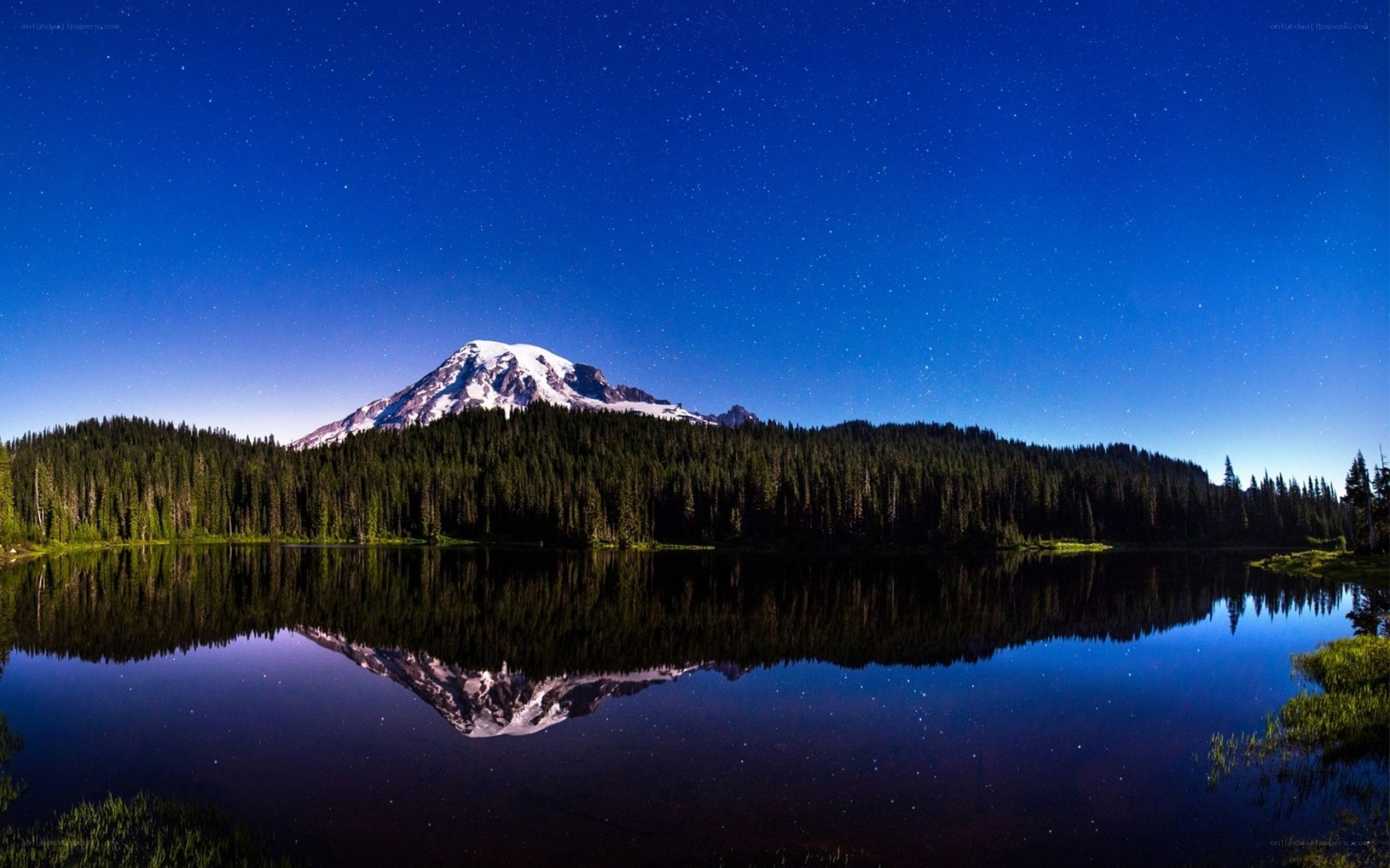 Mount Rainier at night