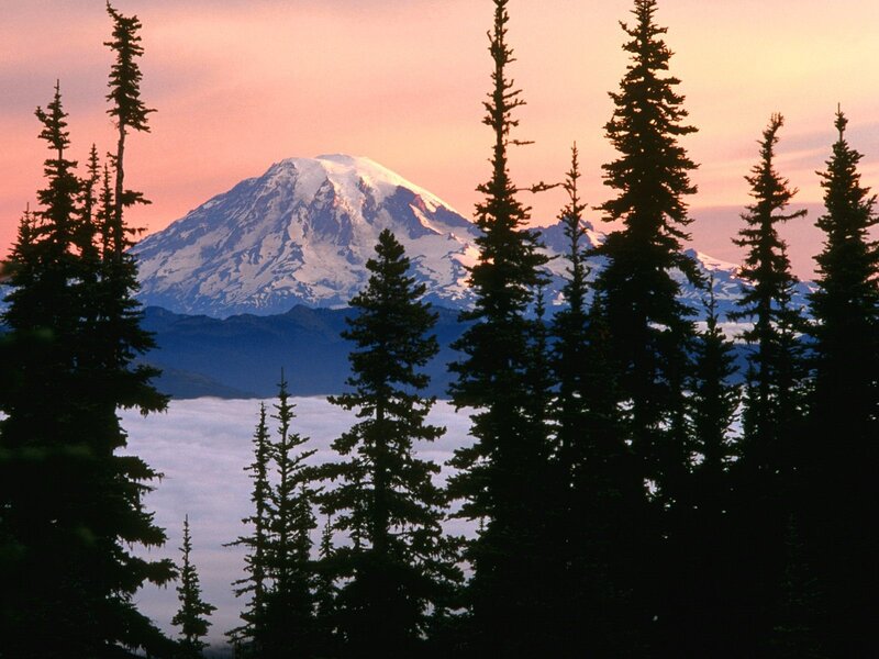 Mount Rainier at Sunrise — Pink