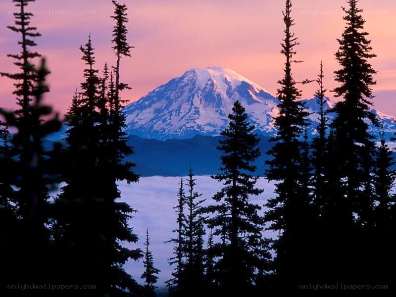 Mount Rainier at sunrise