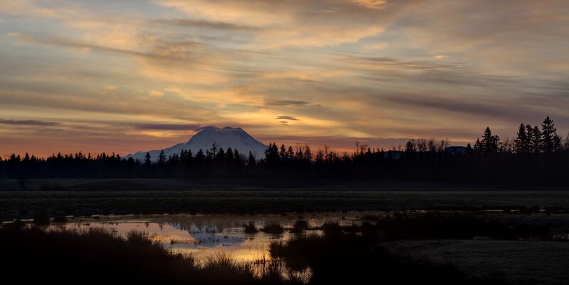 Mount Rainier at sunset