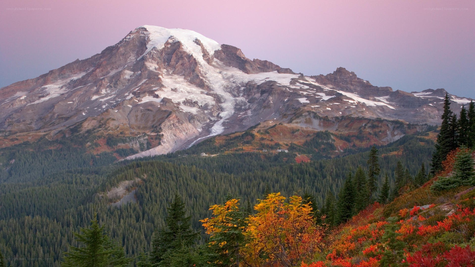 Mount Rainier at sunset