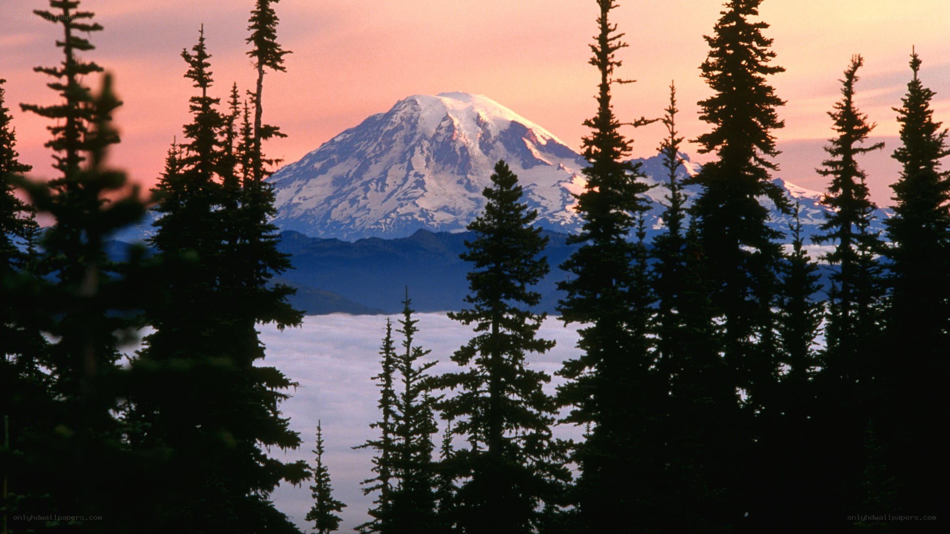 Mount Rainier at sunset