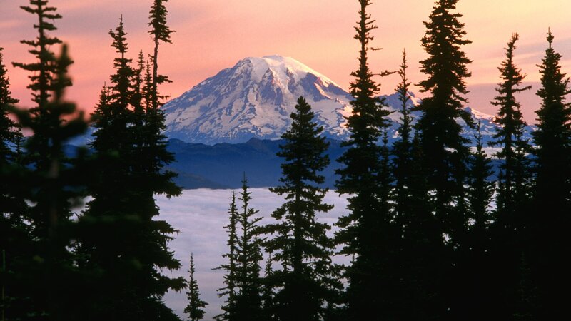 Mount Rainier at Sunset — Pink, Serene