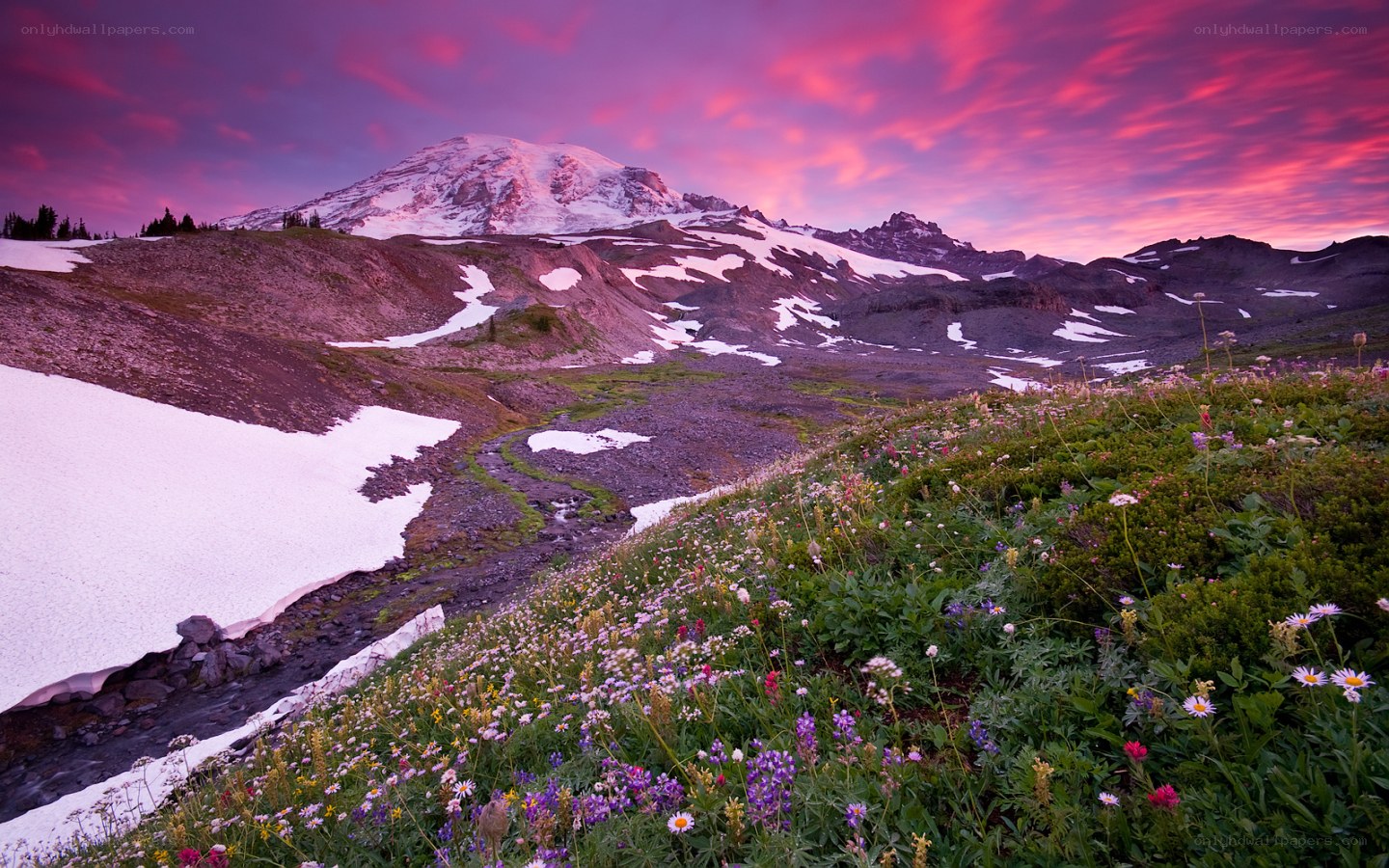 Mount Rainier at sunset
