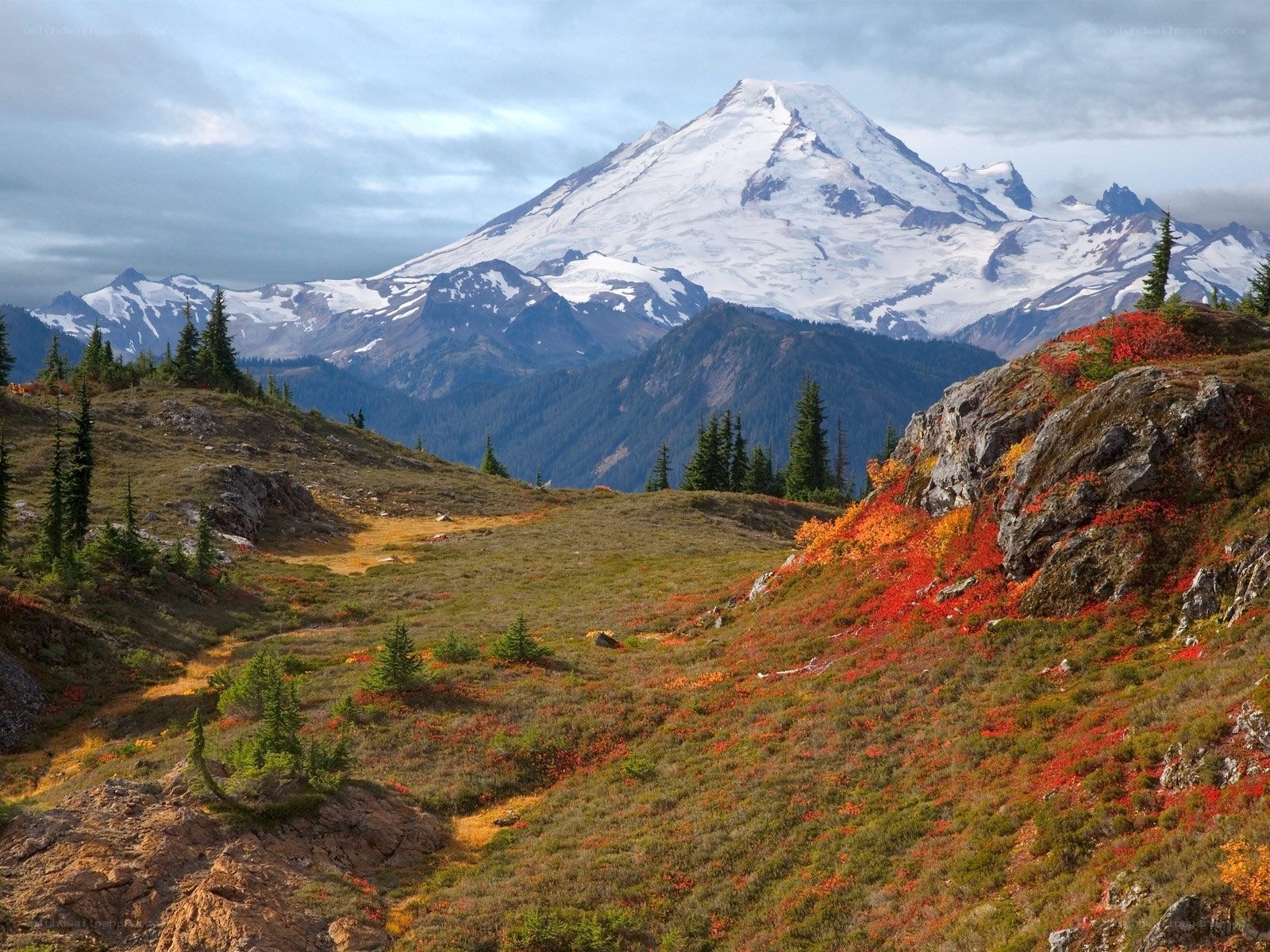 Mount Rainier autumn landscape