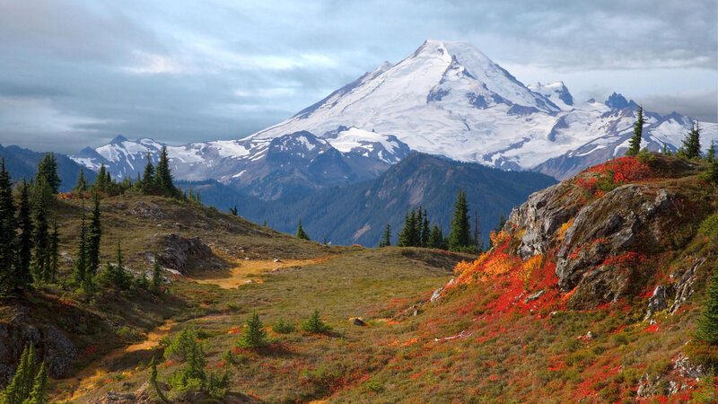 Mount Rainier in Autumn — White