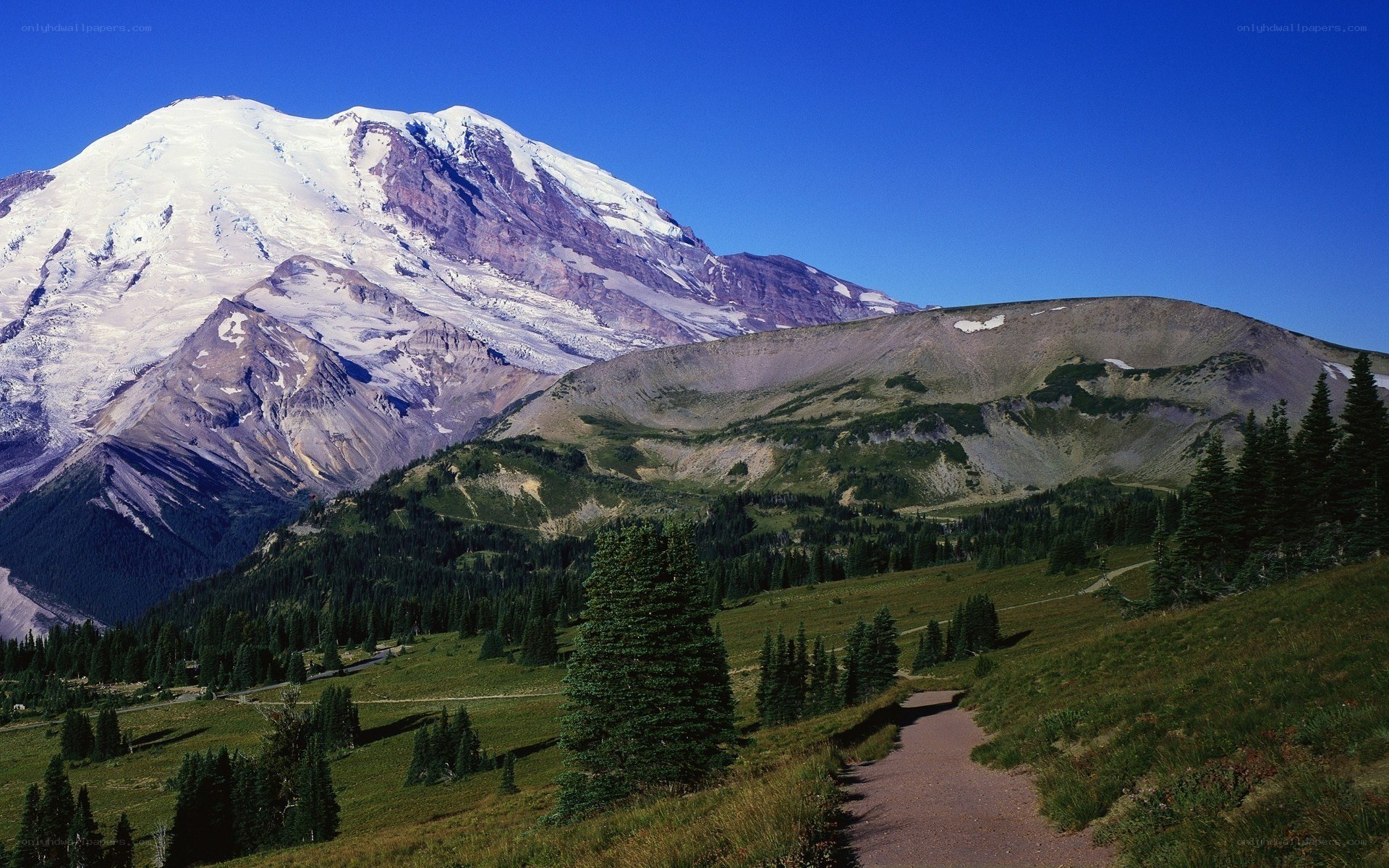 Mount Rainier landscape