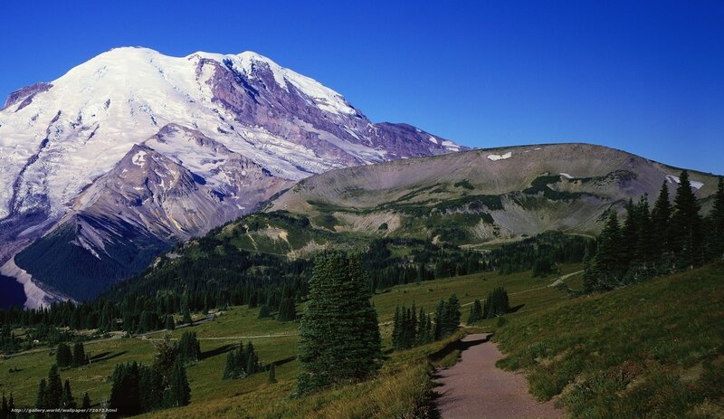 Mount Rainier landscape