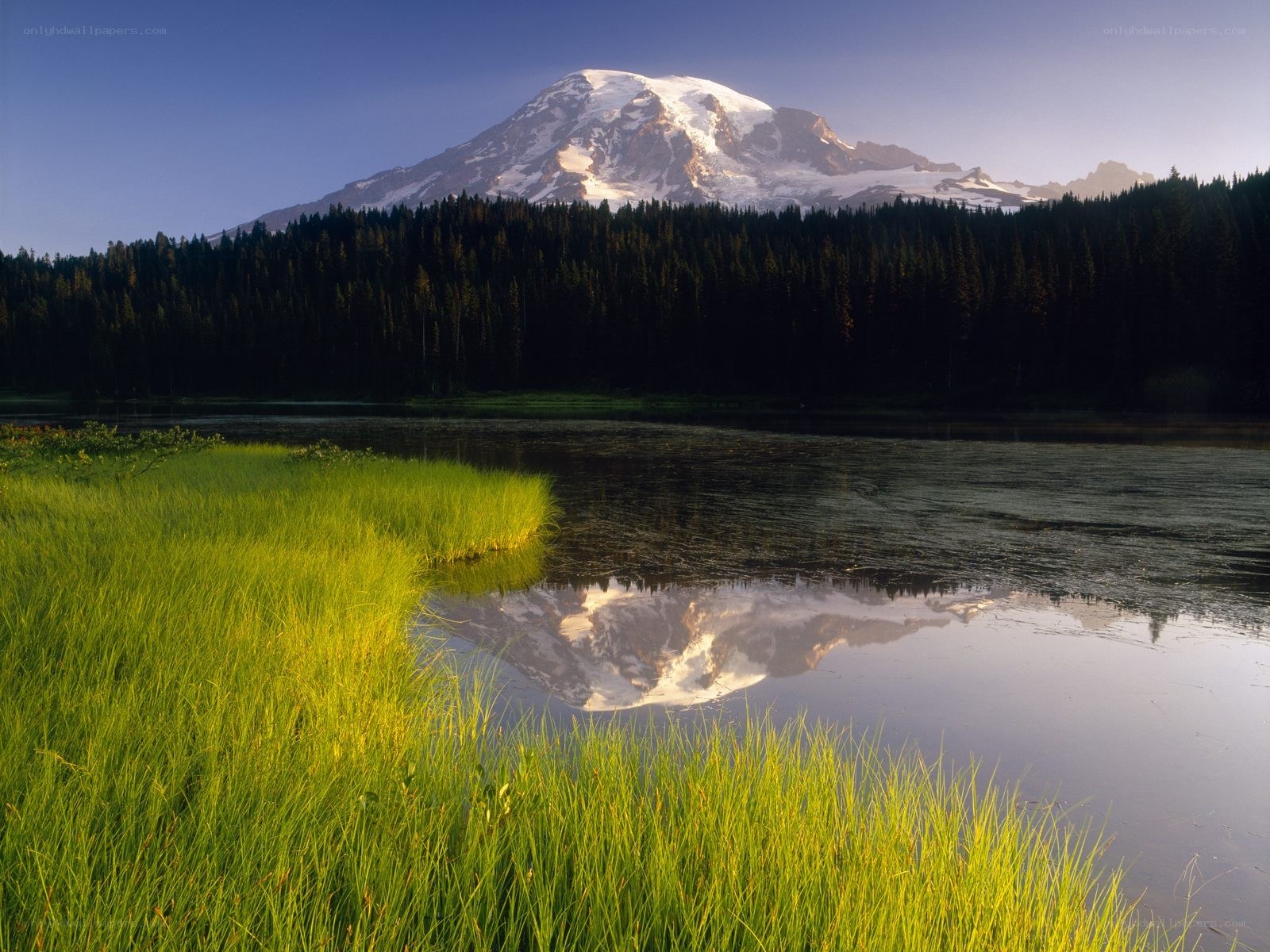 Mount Rainier reflected in a lake
