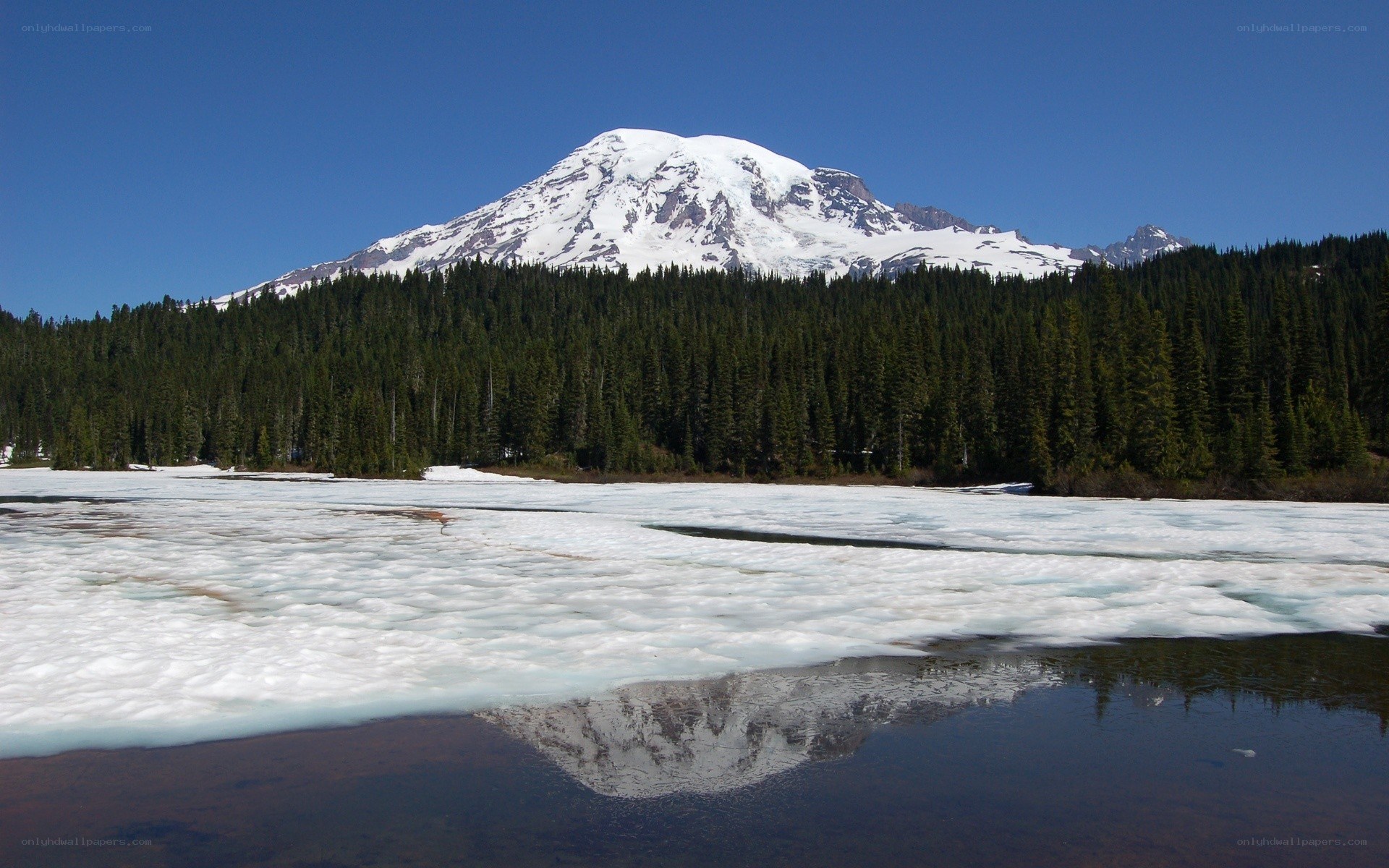 Mount Rainier reflected in a lake