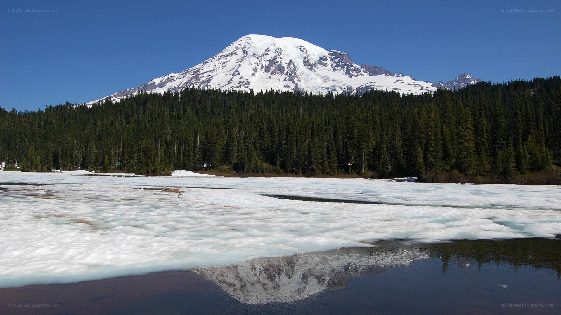 Mount Rainier reflected in a lake