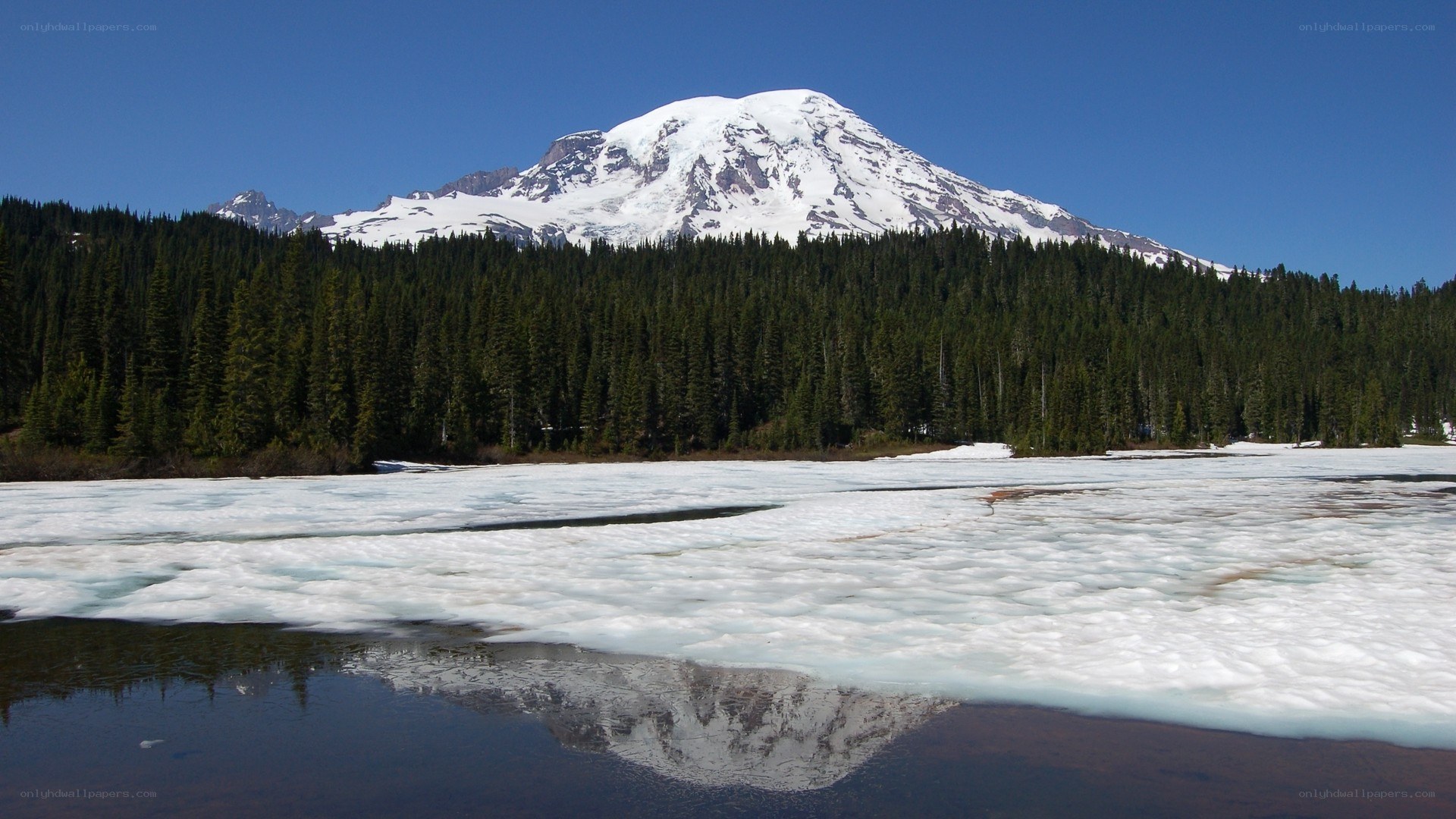 Mount Rainier reflected in a lake
