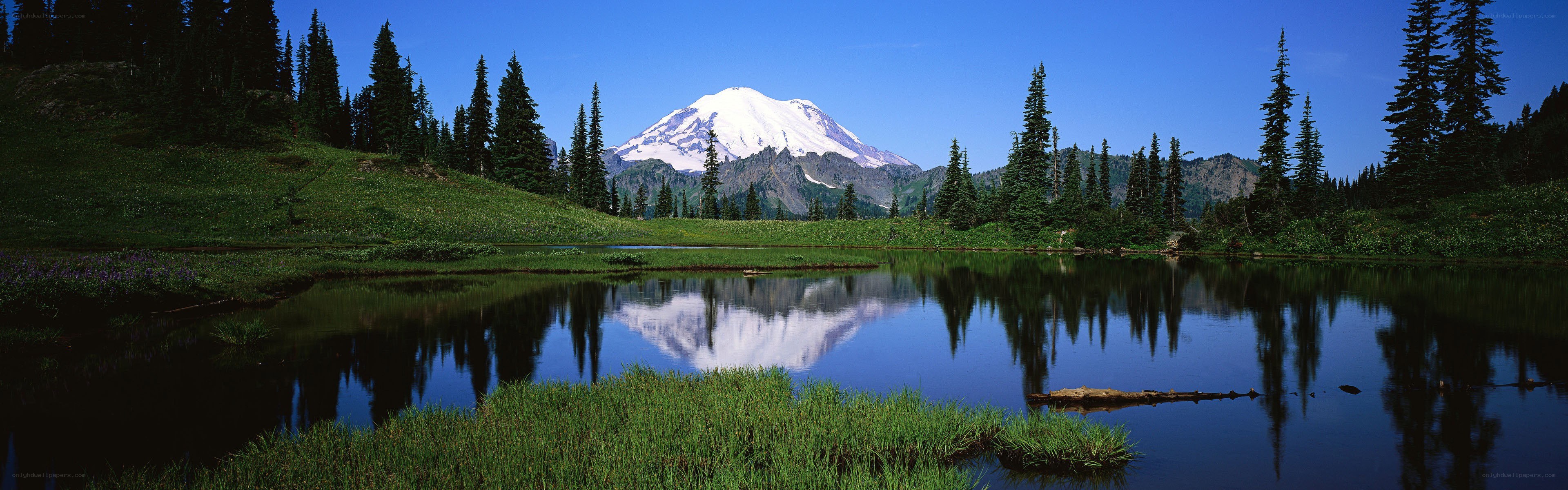 Mount Rainier reflected in a lake