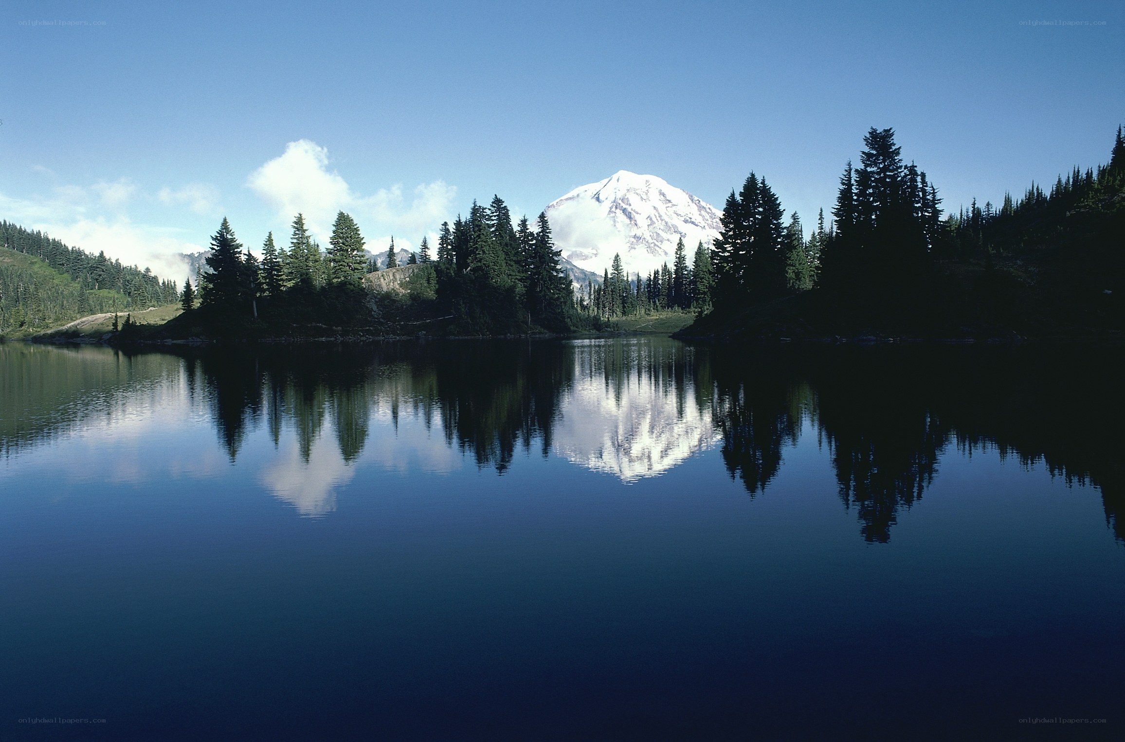 Mount Rainier reflected in a lake