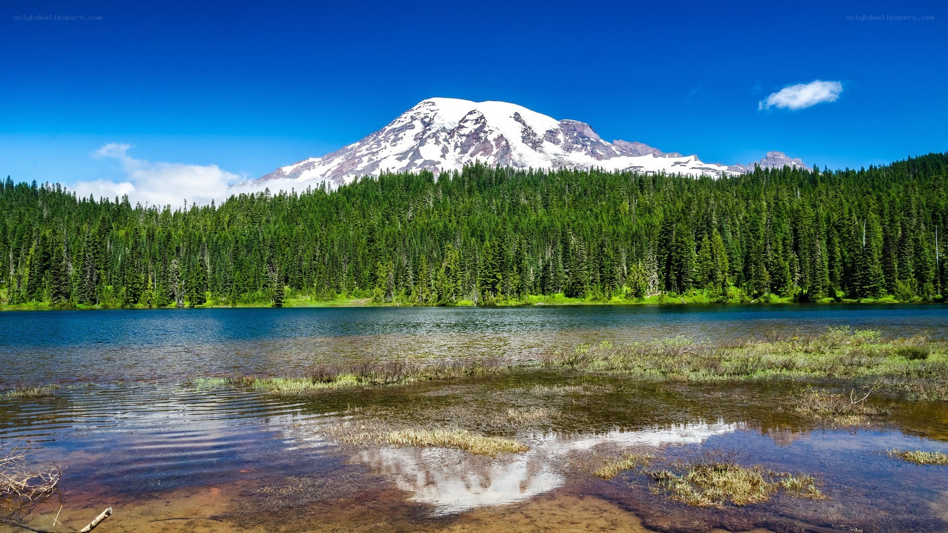 Mount Rainier reflected in a lake