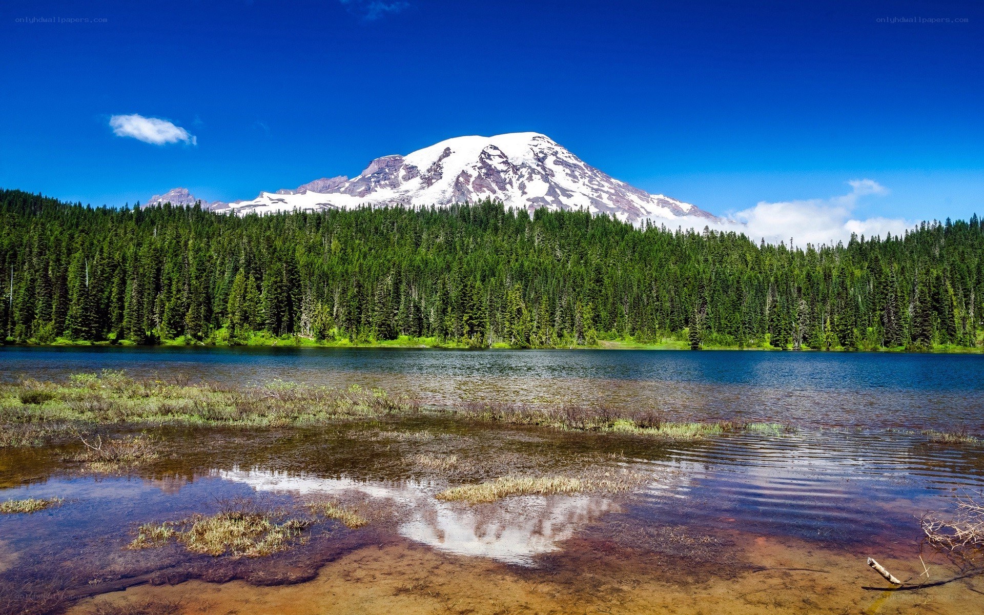 Mount Rainier reflected in a lake