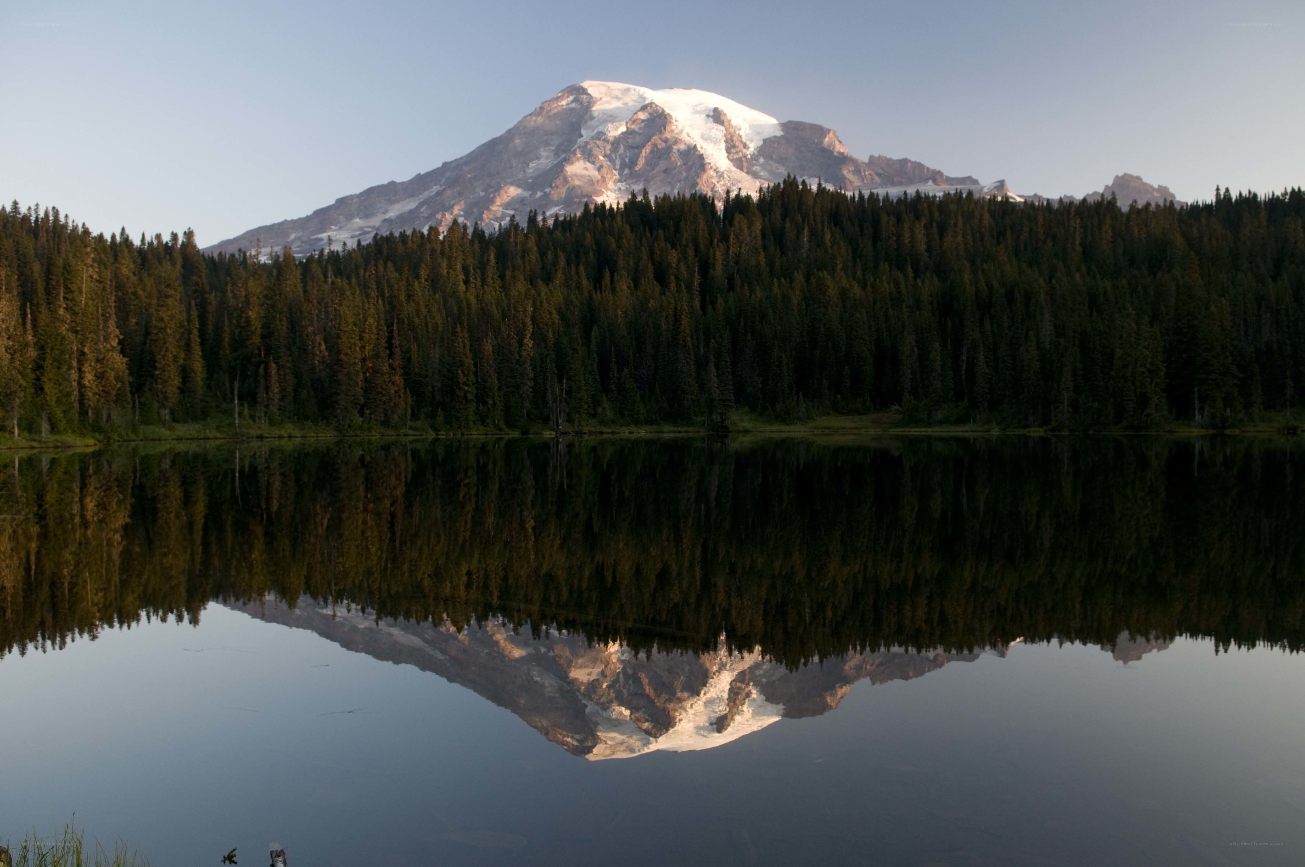 Mount Rainier reflected in a lake