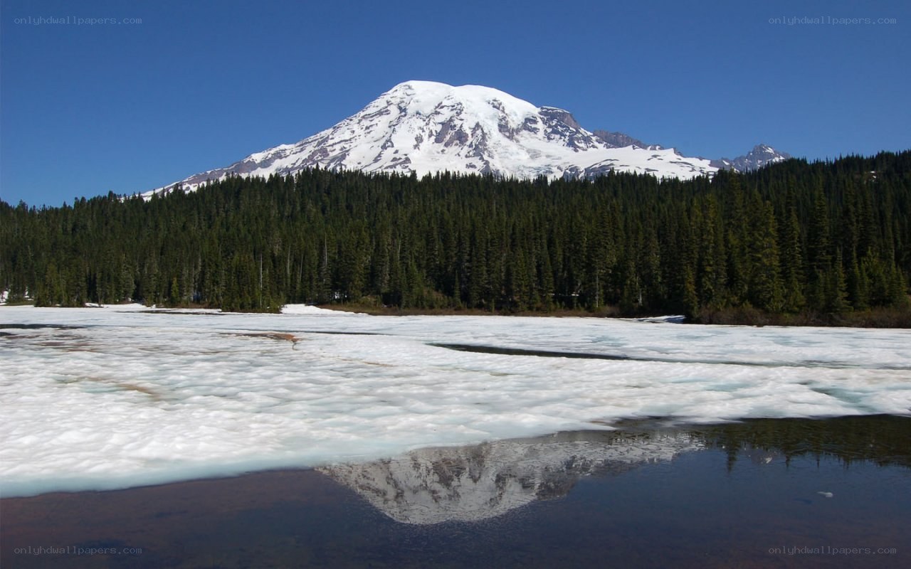 Mount Rainier reflected in a lake