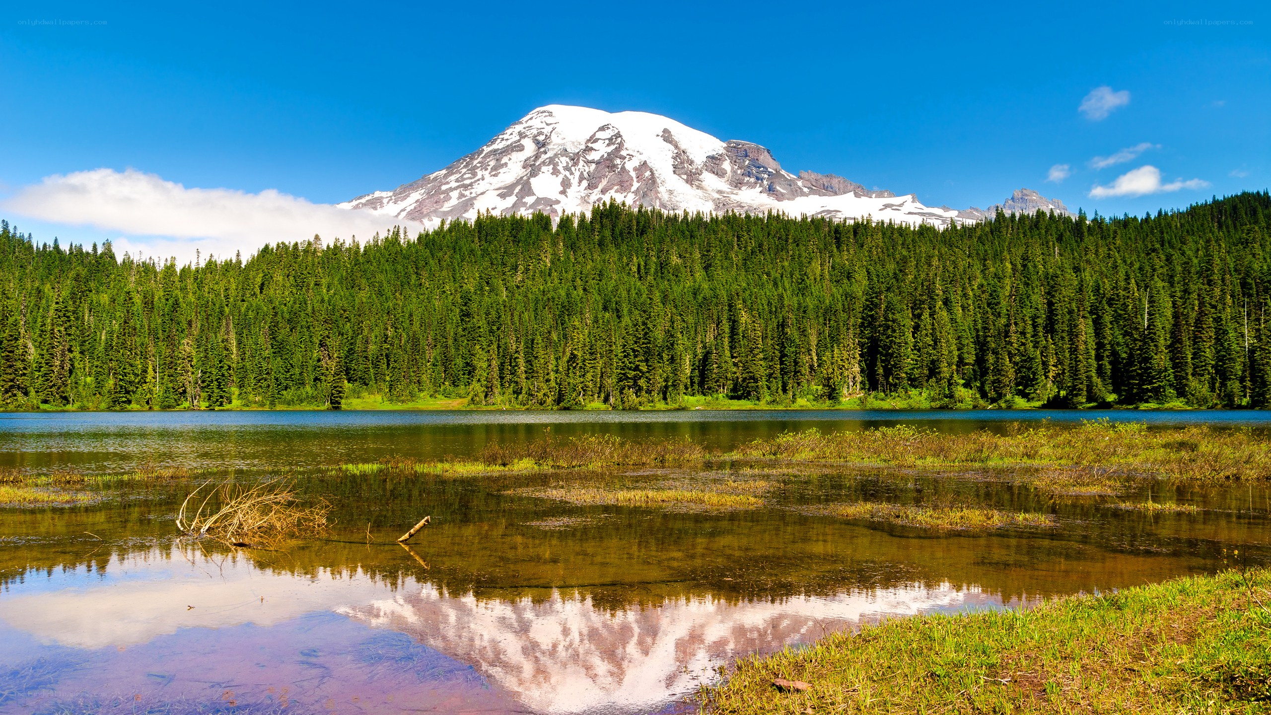 Mount Rainier reflected in a lake