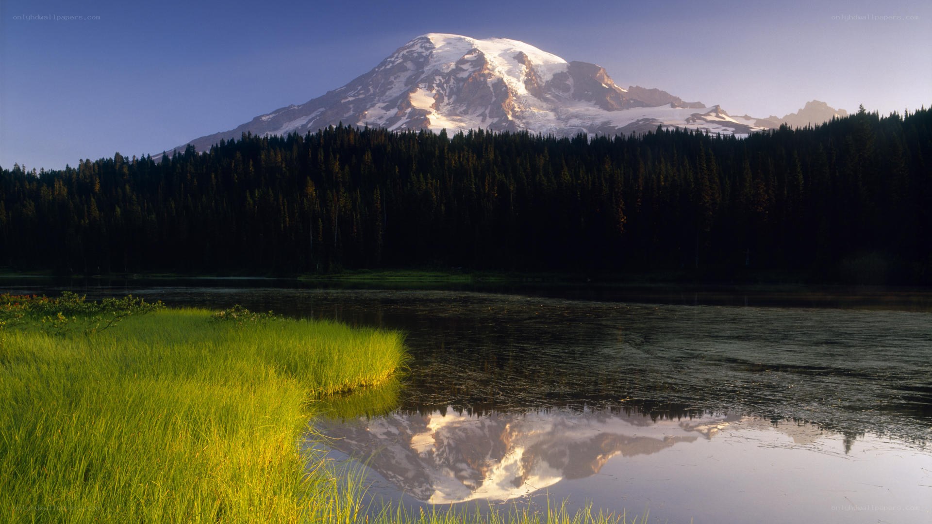 Mount Rainier reflected in a lake
