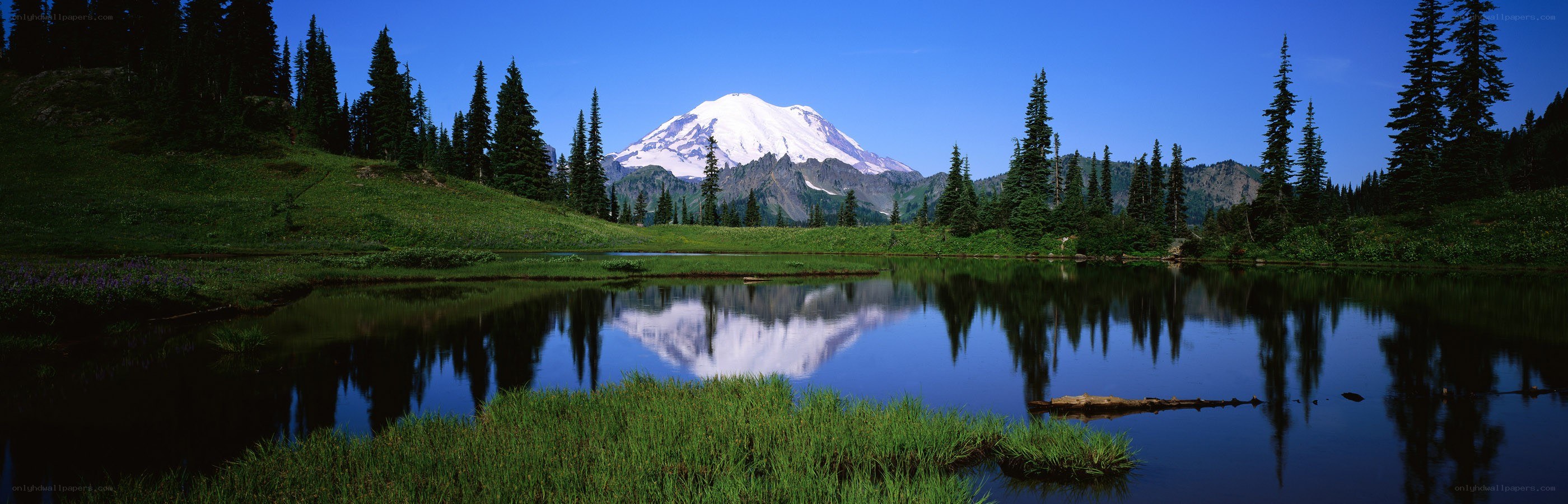 Mount Rainier reflected in a lake