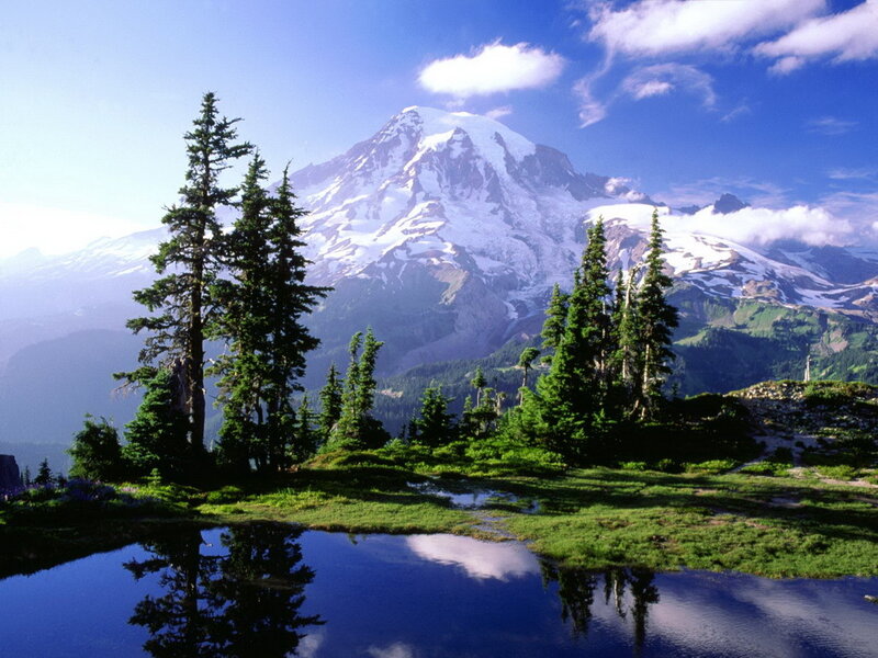 Mount Rainier reflected in a pond
