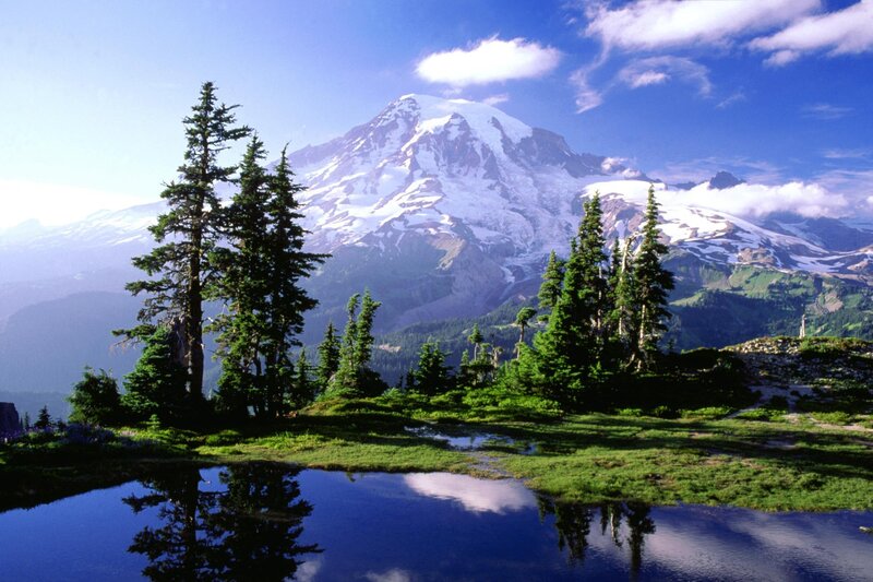 Mount Rainier reflected in a pond