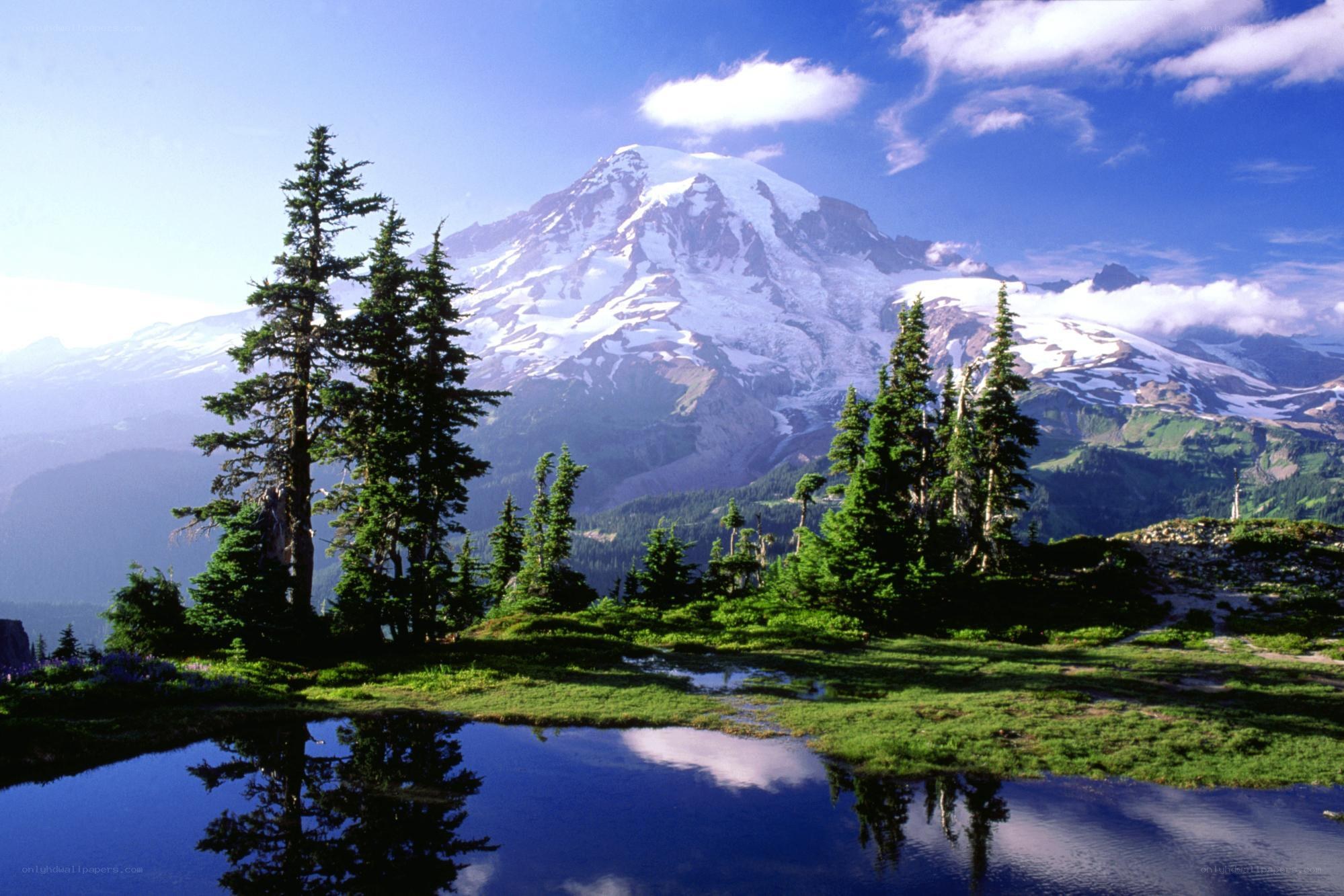 Mount Rainier reflected in a pond