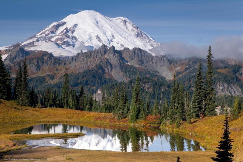 Mount Rainier reflection in a pond