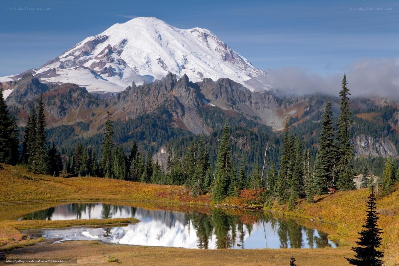 Mount Rainier reflection in a pond