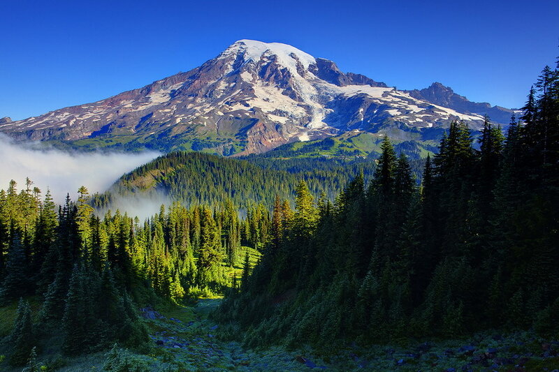 Mount Rainier Snow-capped — Blue