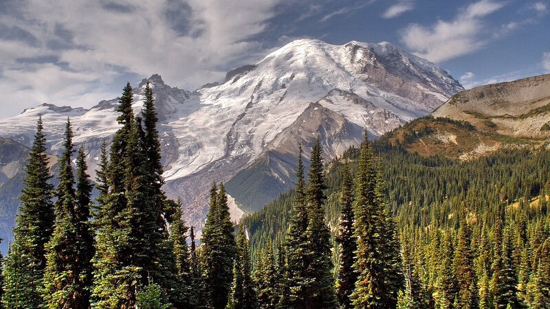 Mount Rainier Snow-capped Peak — Green